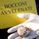 ATTENZIONE: Polpette avvelenate a Maiano e San Silvestro, ma non solo