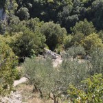 Spoleto, fanno l'amore sulla sedia del Papa ma vengono visti
