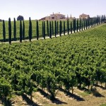 Umbria, Washington Post: «Non è la Toscana dei poveri e puoi vivere da re» (FOTO)