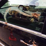 Umbria, imbrattata di sterco l’auto dell’ex ministro Rotondi