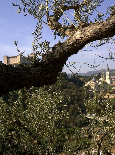 natura e storia