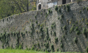 cinta muraria su fiume tessino visibile esternamente da via cacciatori delle alpi, internamente da via murelle