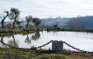 In gita con la Pro loco di Spoleto al Parco di Acquarossa