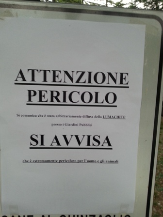 VELENO CAMPELLO