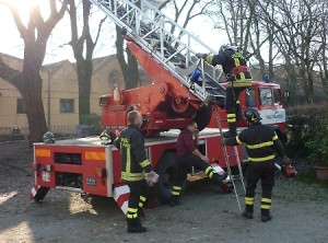 vgvLBQFhc0=--i_vigili_del_fuoco_al_lavoro_agli_stalloni