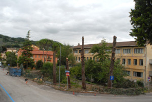 alberi