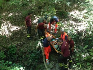 Il_salvataggio_nei_boschi_di_Bavari-H140901175131