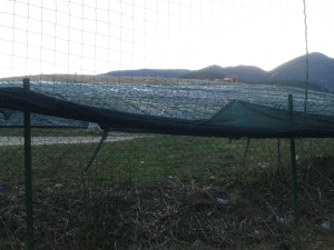 20150105_161502