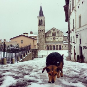 neve spoleto