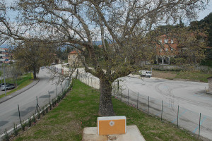 -_Platano_ex_Stazione_Spoleto_-_Norcia_1