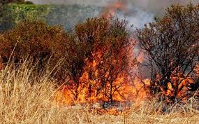 incendio