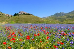 castelluccio