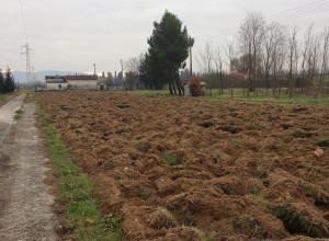 Il terreno degli Orti solidali di Borgo Trevi