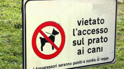 divieto-cani-nava-cartello-segnale-185412.660x368