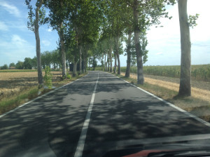 strada-portomaggiore-migliarino2