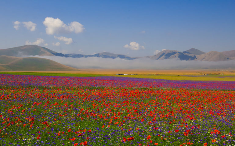 castelluccio-di-norcia