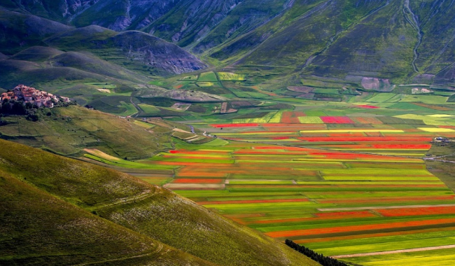 umbria-castelluccio-di-norcia