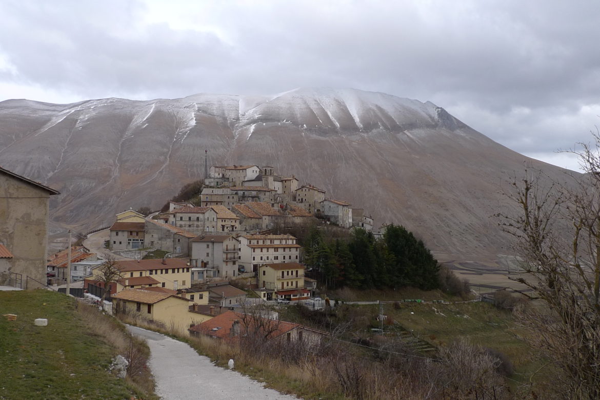 pulmino