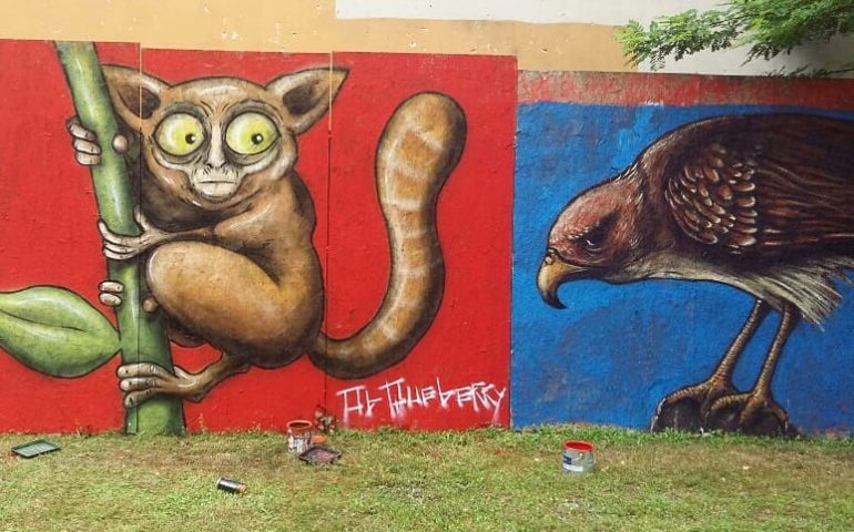 raccolta