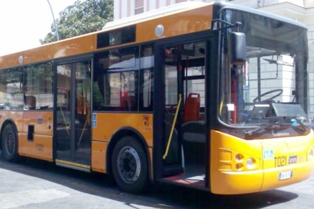 bus