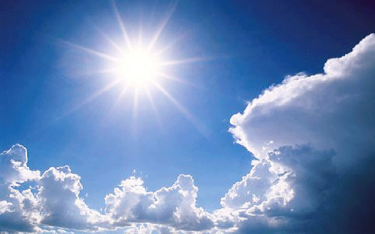 sole