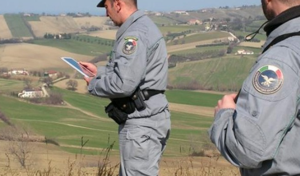 bracconaggio