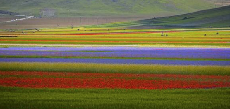 castelluccio