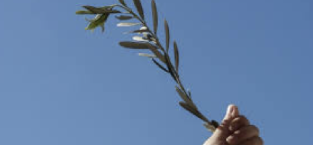 olio