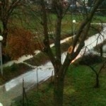 IMG_0431 (1)